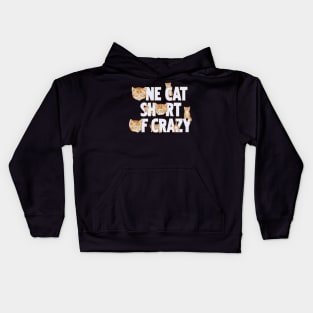 One Cat Short Of Crazy Kids Hoodie